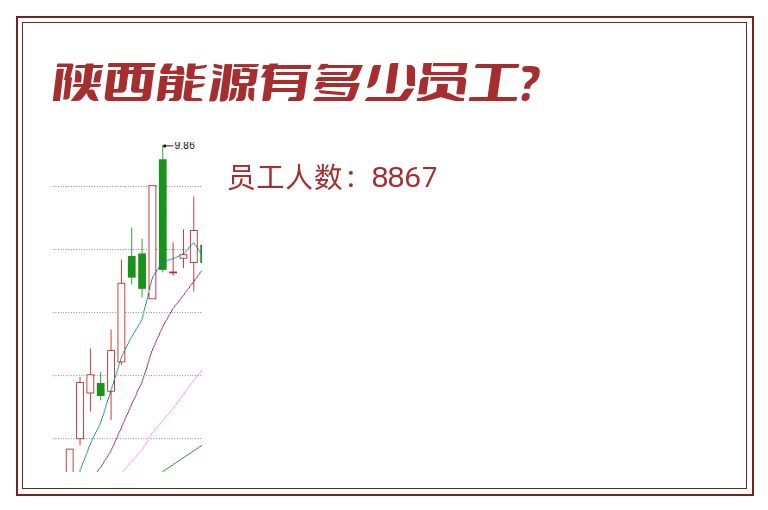陕西能源有多少员工？