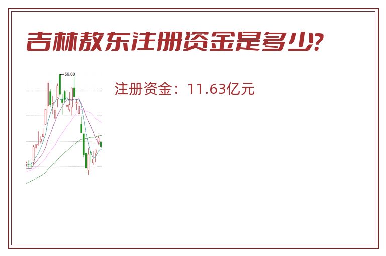吉林敖东注册资金是多少？