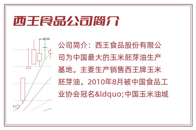 西王食品公司简介