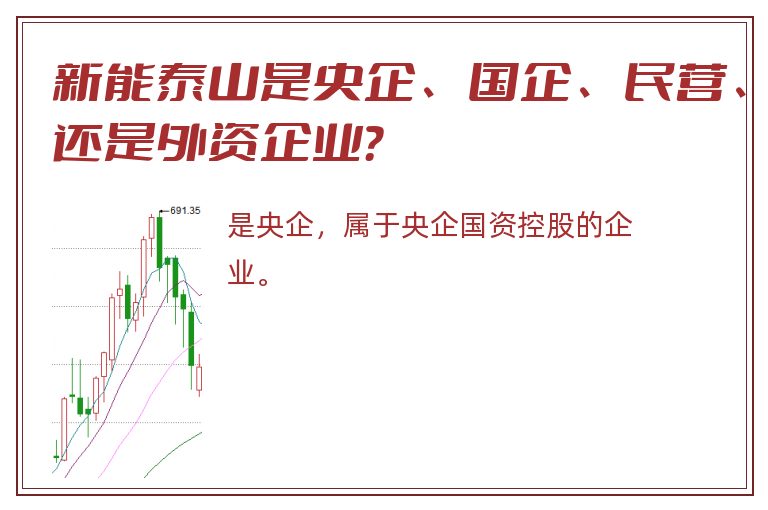 新能泰山是央企、国企、民营、还是外资企业？