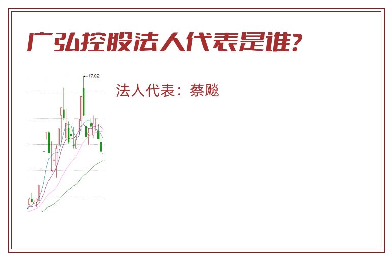 广弘控股法人代表是谁？