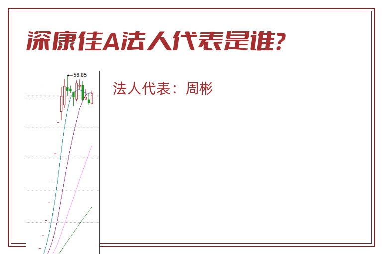 深康佳A法人代表是谁?.jpg 深康佳A.jpg