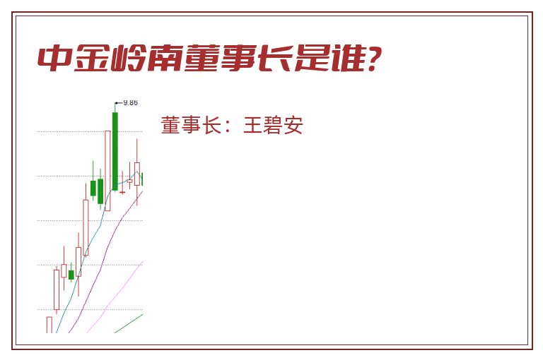 中金岭南董事长是谁？