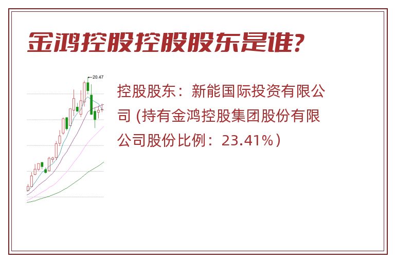 金鸿控股控股股东是谁？