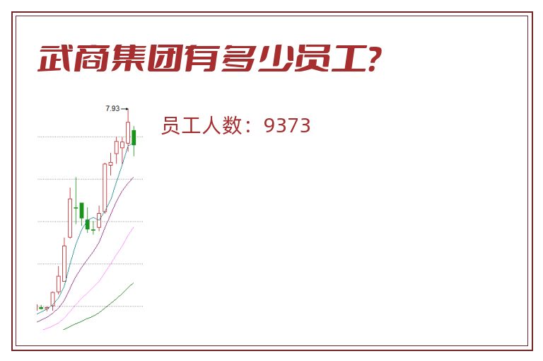 武商集团有多少员工?.jpg 武商集团.jpg