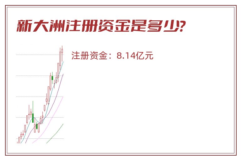 新大洲注册资金是多少？
