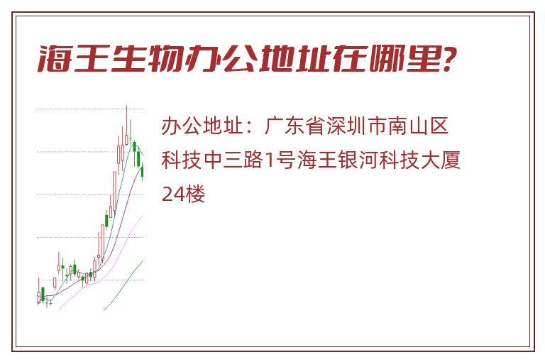 海王生物办公地址在哪里？