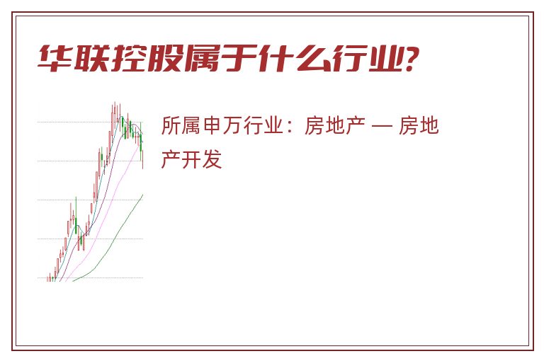 华联控股属于什么行业？