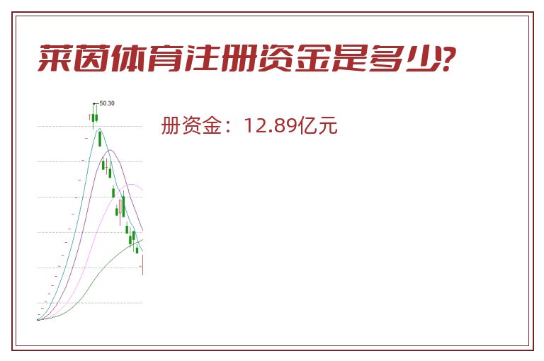 莱茵体育注册资金是多少？