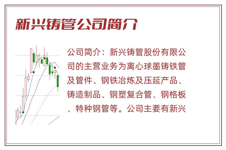 新兴铸管公司简介