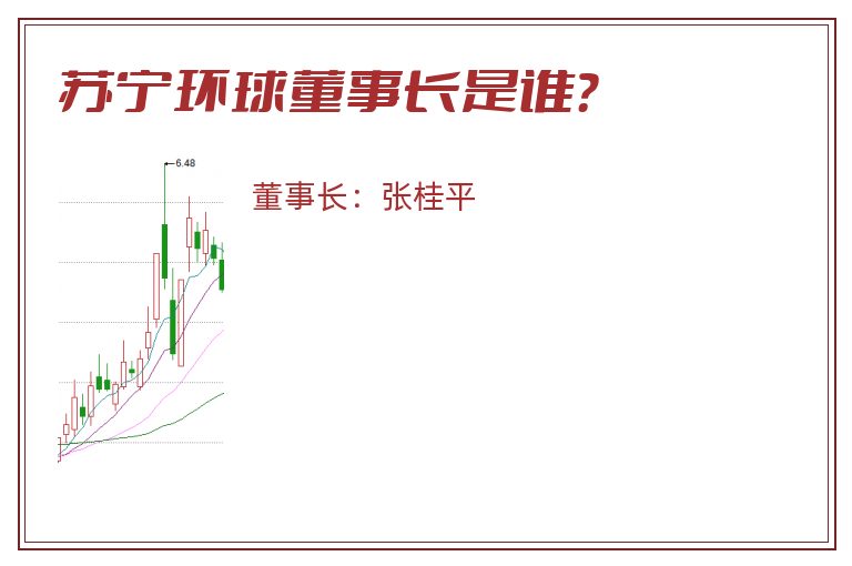 苏宁环球董事长是谁？