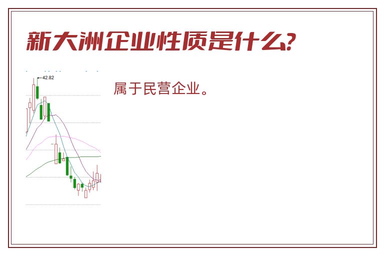 新大洲企业性质是什么？