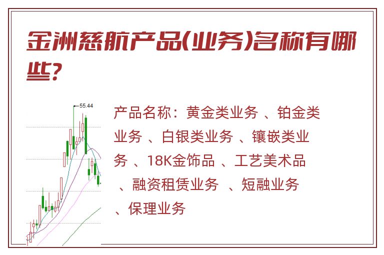 金洲慈航产品（业务）名称有哪些？
