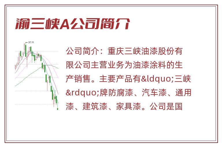 渝三峡A公司简介
