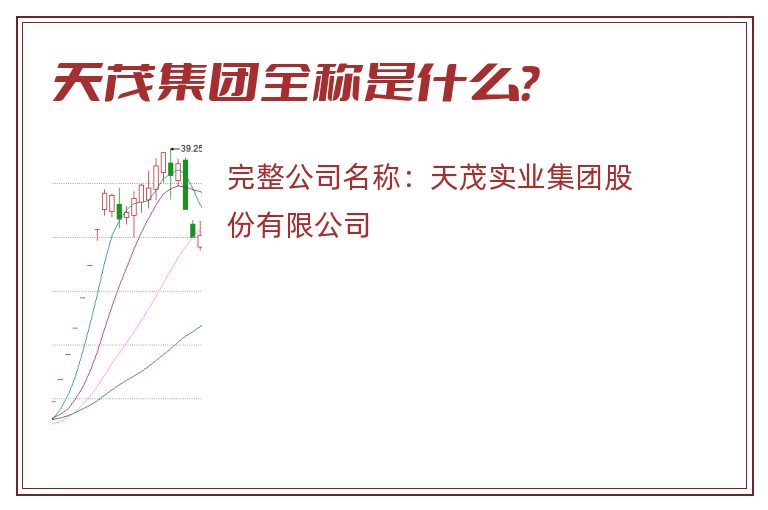 天茂集团全称是什么？