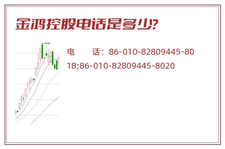 金鸿控股电话是多少？
