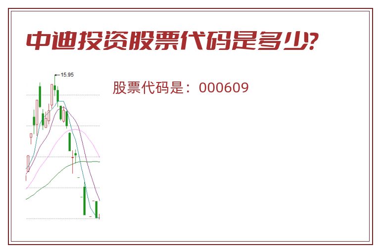 中迪投资股票代码是多少？