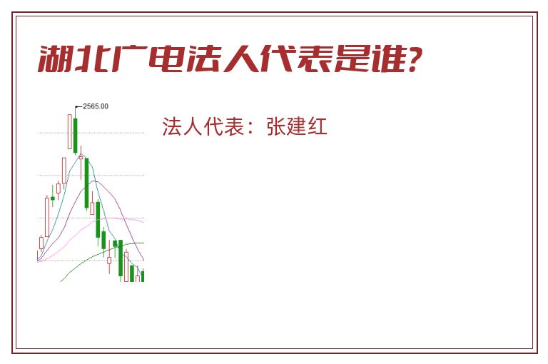 湖北广电法人代表是谁?.jpg 湖北广电.jpg