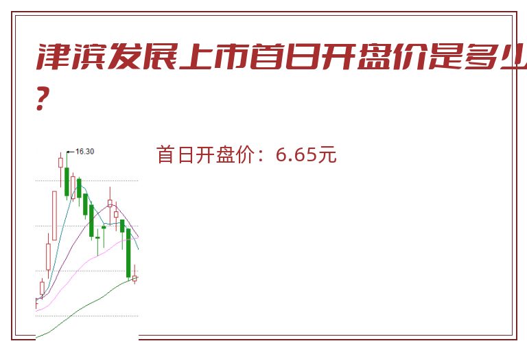 津滨发展.jpg