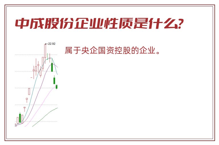 中成股份企业性质是什么？