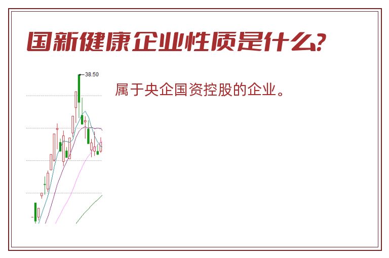 国新健康企业性质是什么？