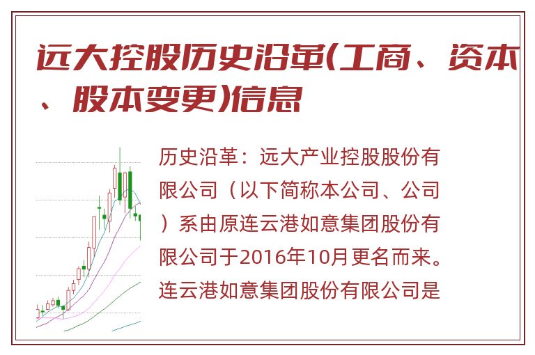 远大控股历史沿革（工商、资本、股本变更）信息