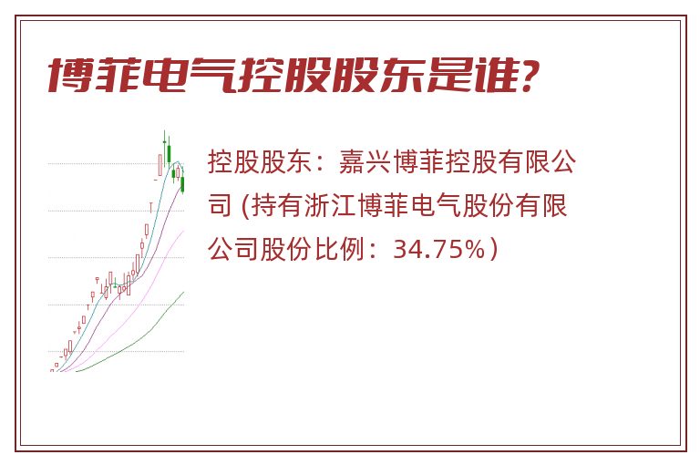 博菲电气控股股东是谁？