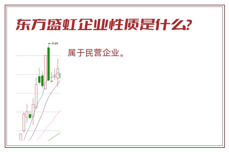 东方盛虹企业性质是什么？