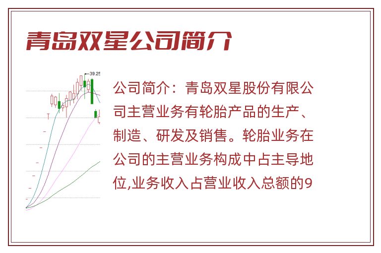 青岛双星公司简介