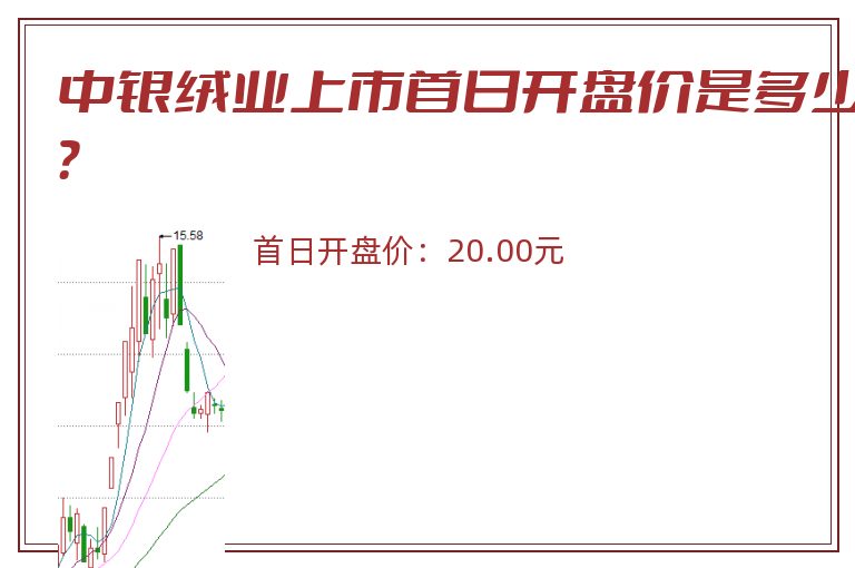 中银绒业上市首日开盘价是多少？