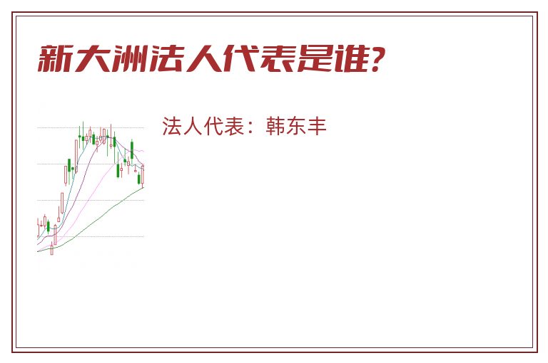 新大洲法人代表是谁？
