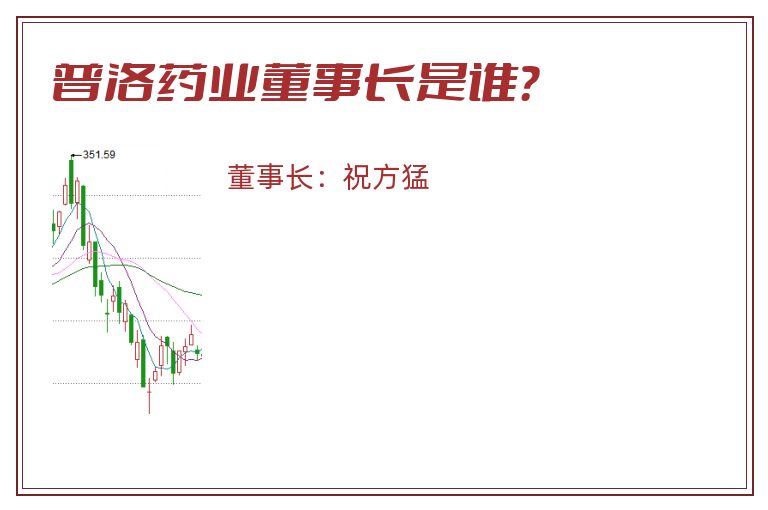 普洛药业董事长是谁？