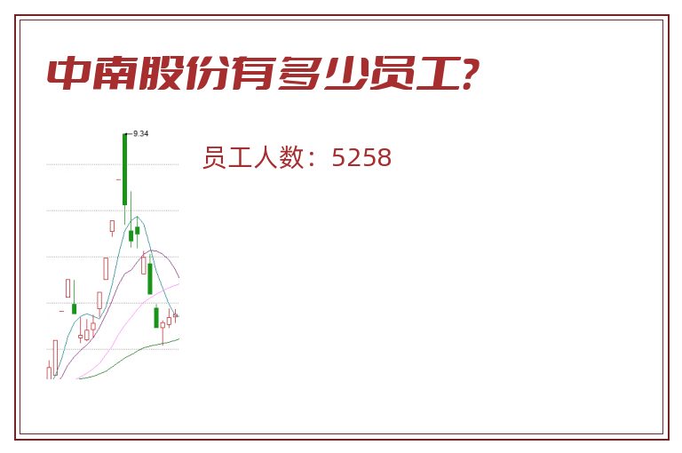 中南股份有多少员工?.jpg 中南股份.jpg