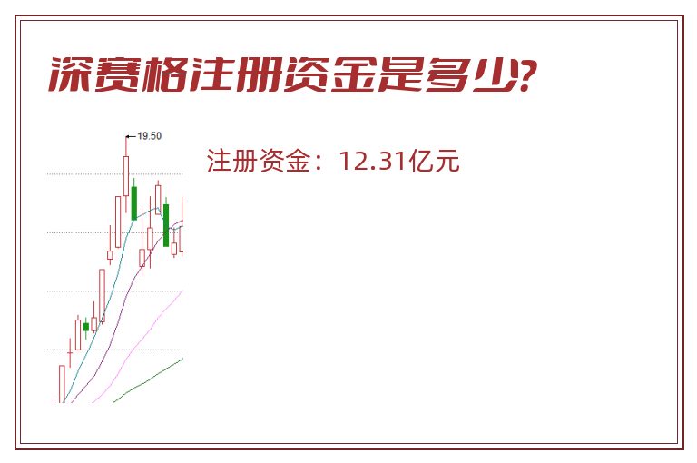 深赛格注册资金是多少？