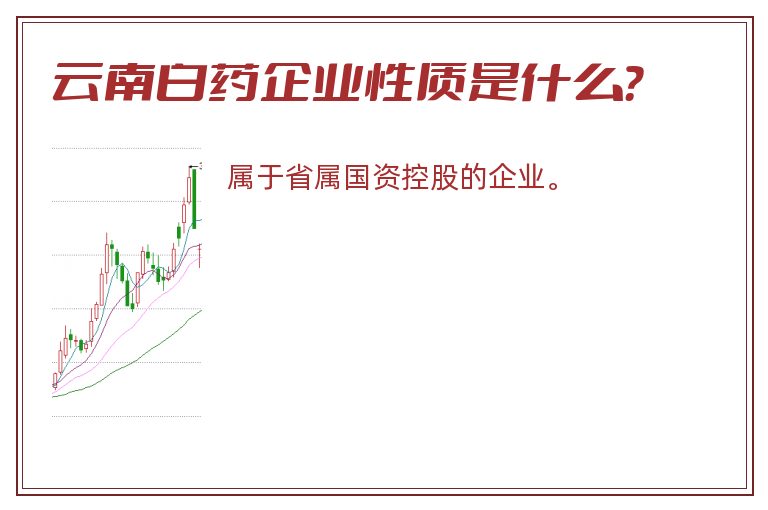 云南白药企业性质是什么？