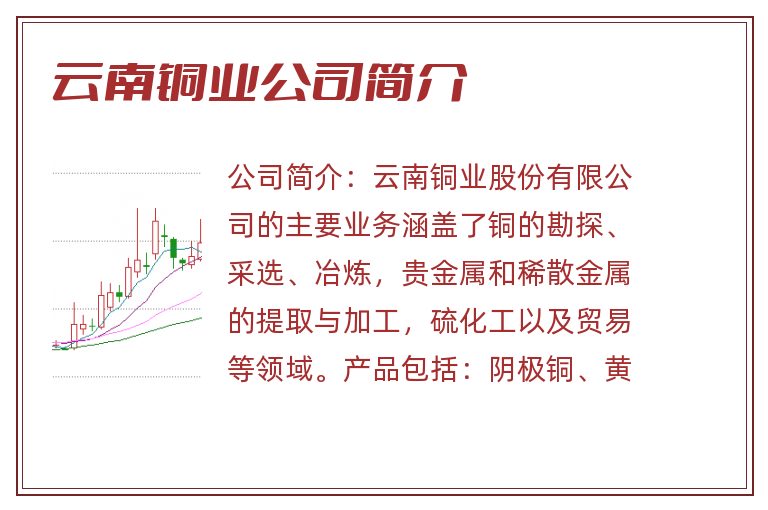 云南铜业公司简介