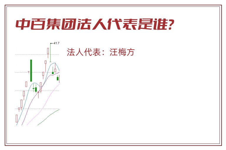 中百集团法人代表是谁？