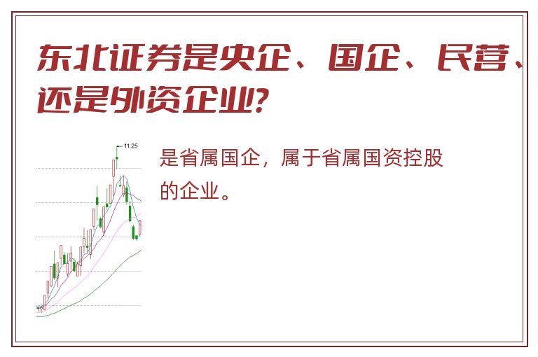 东北证券是央企、国企、民营、还是外资企业？