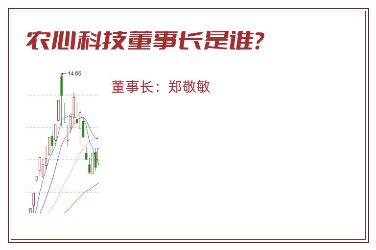 农心科技董事长是谁？