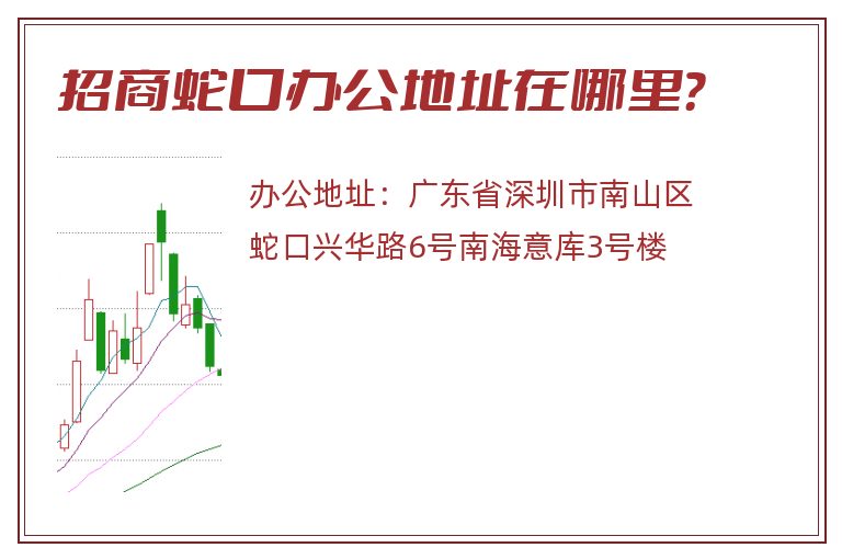 招商蛇口办公地址在哪里？