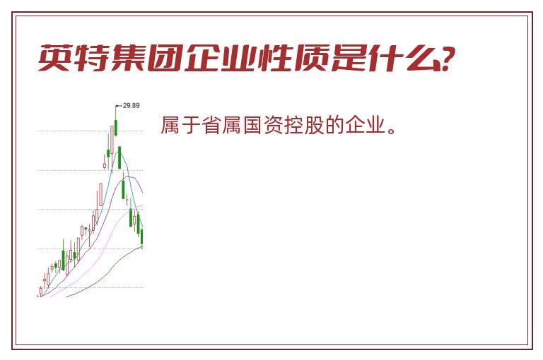 英特集团企业性质是什么？