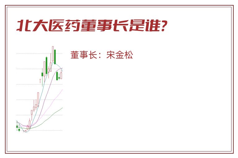 北大医药董事长是谁？