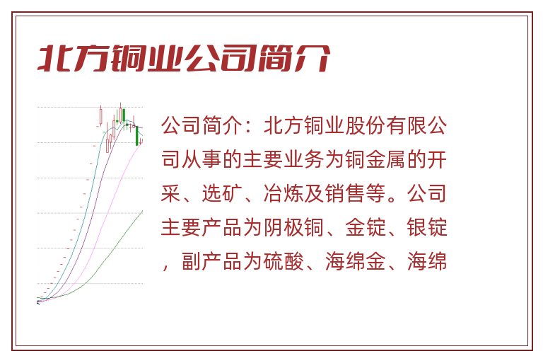 北方铜业公司简介