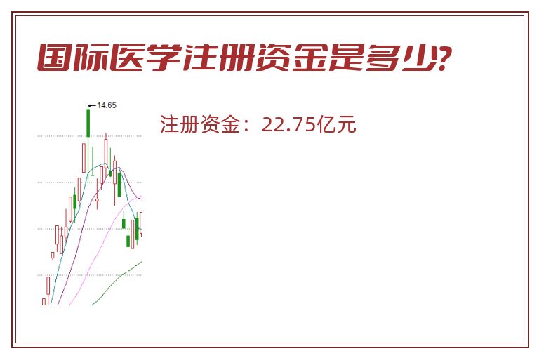 国际医学注册资金是多少？