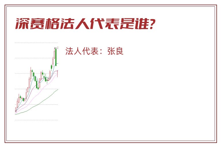 深赛格法人代表是谁?.jpg 深赛格.jpg
