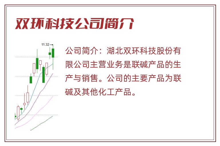 双环科技公司简介