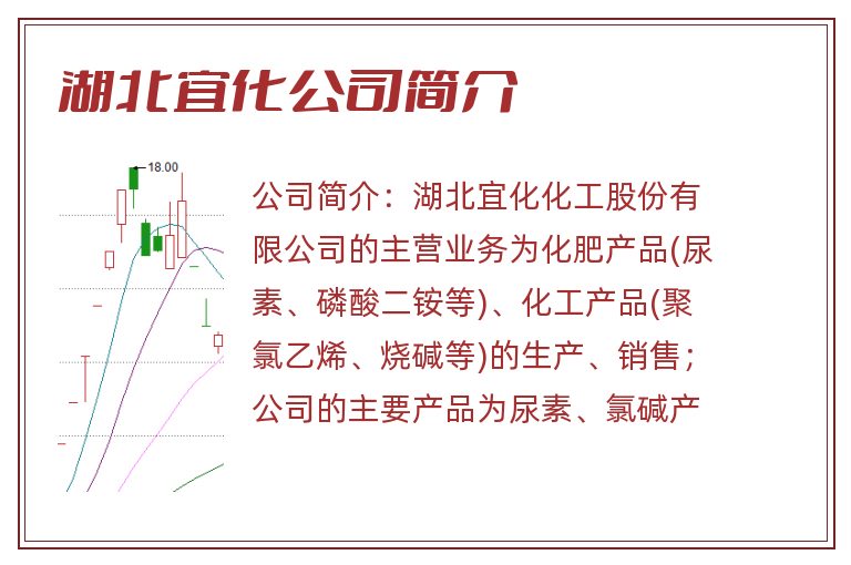 湖北宜化公司简介