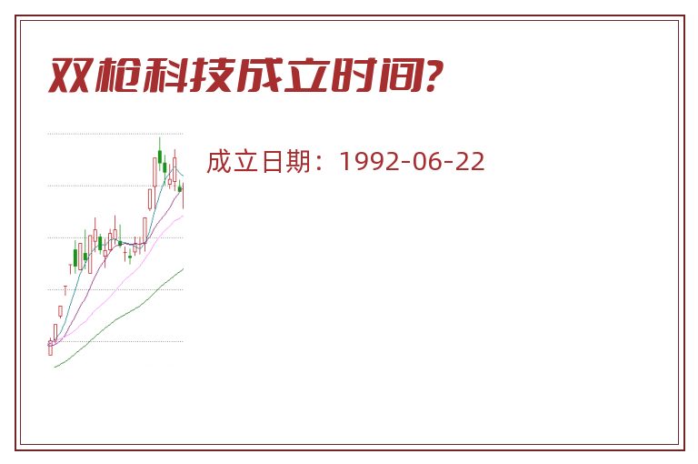 双枪科技成立时间？