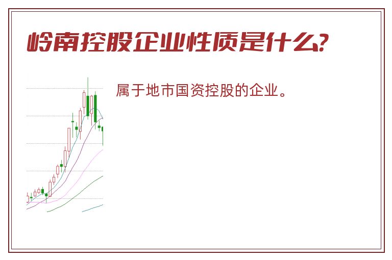 岭南控股企业性质是什么？