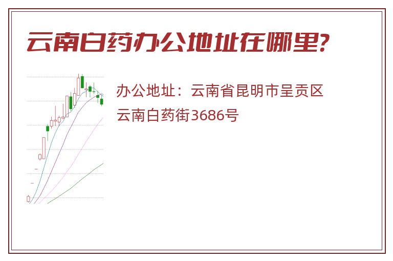 云南白药办公地址在哪里？